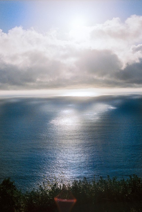 The sun reflects on the ocean under a cloudy sky with green foliage in the foreground.