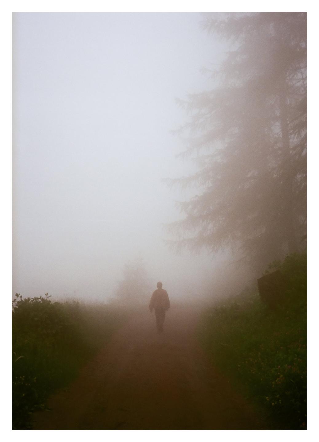 A person walks down a dirt path through a foggy forest.