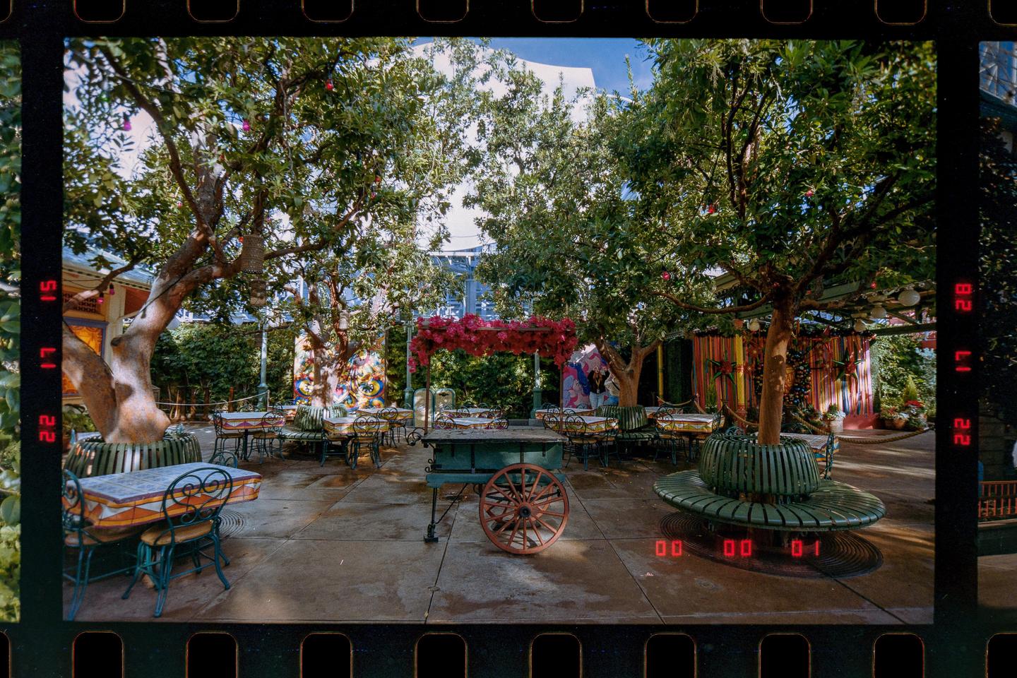 A courtyard with tables and chairs is surrounded by trees and colorful decorations.