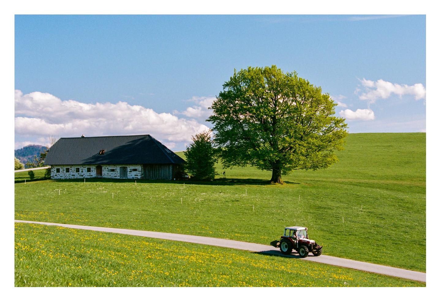 A tractor drives on a paved road through a green field with a house and a large tree under a blue sky.