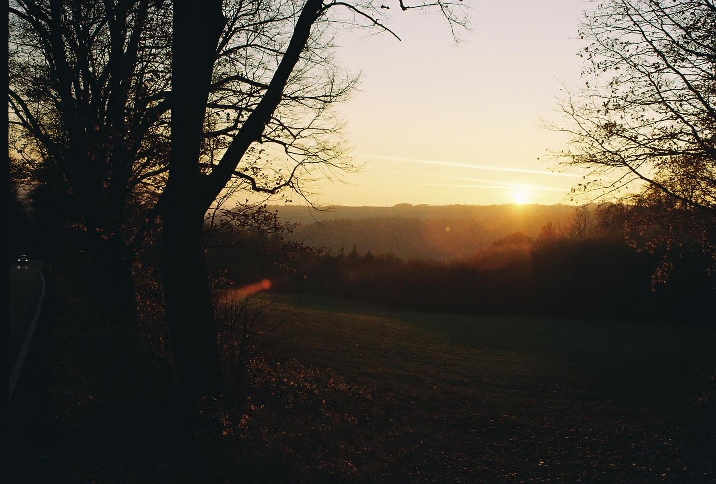 The sun sets over a field and forest, with silhouetted trees in the foreground and a road on the left.