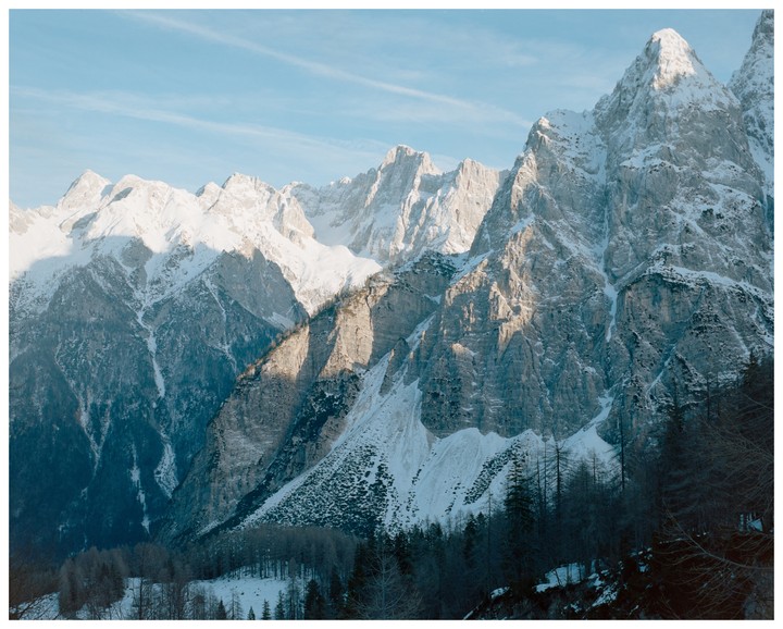 Snow-capped mountains rise above a forest of pine trees under a clear sky.