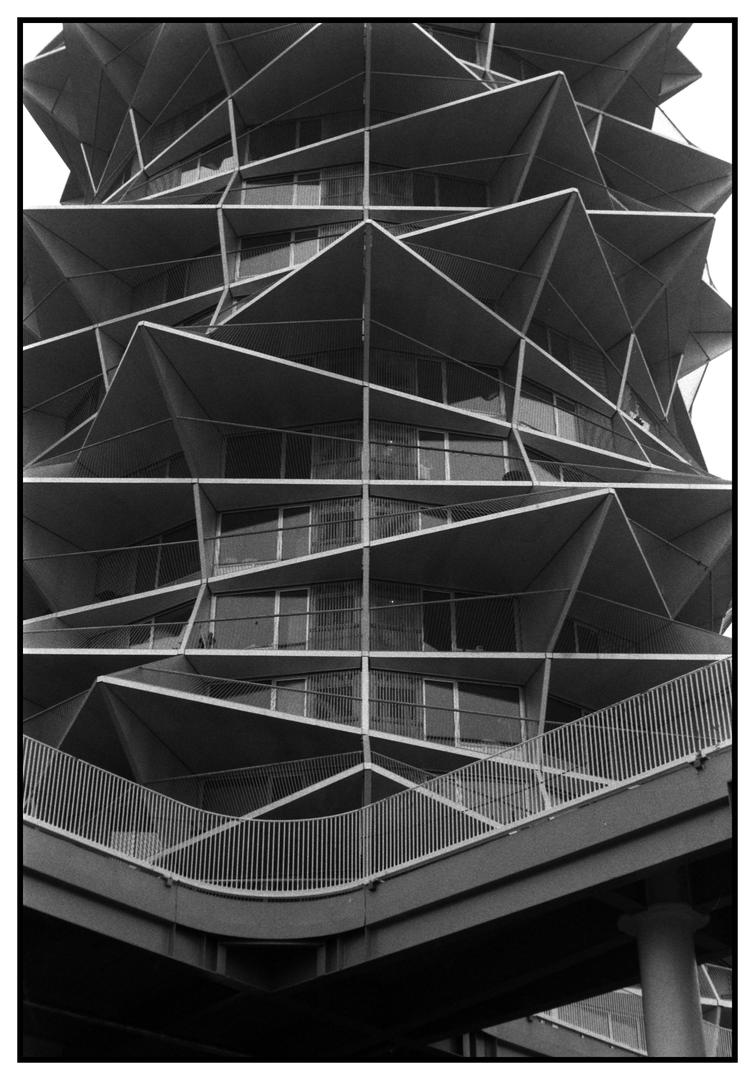 Kaktus - Praktica MTL 50 | Pentacon auto 50mm f/1.8 | Rollei RPX 400, shot on PRAKTICA MTL 50