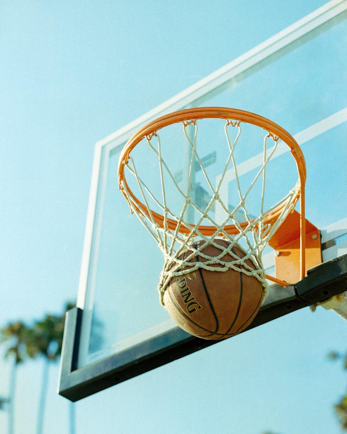 A basketball is visible in a hoop against a clear blue sky.