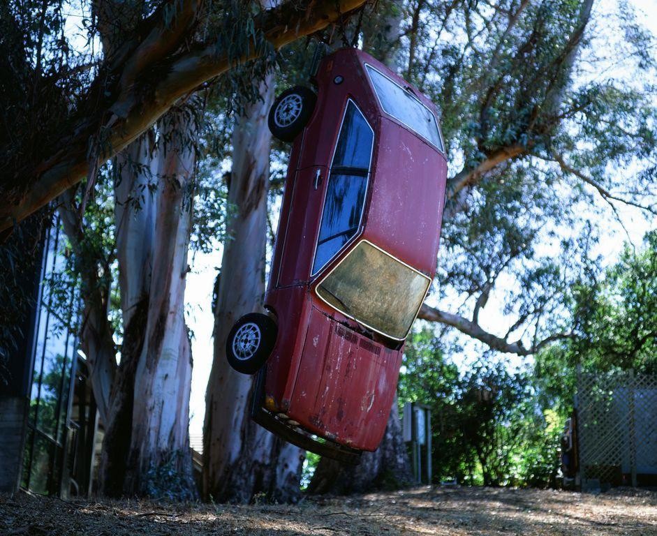 A red car hangs vertically from a tree branch, suspended above the ground.