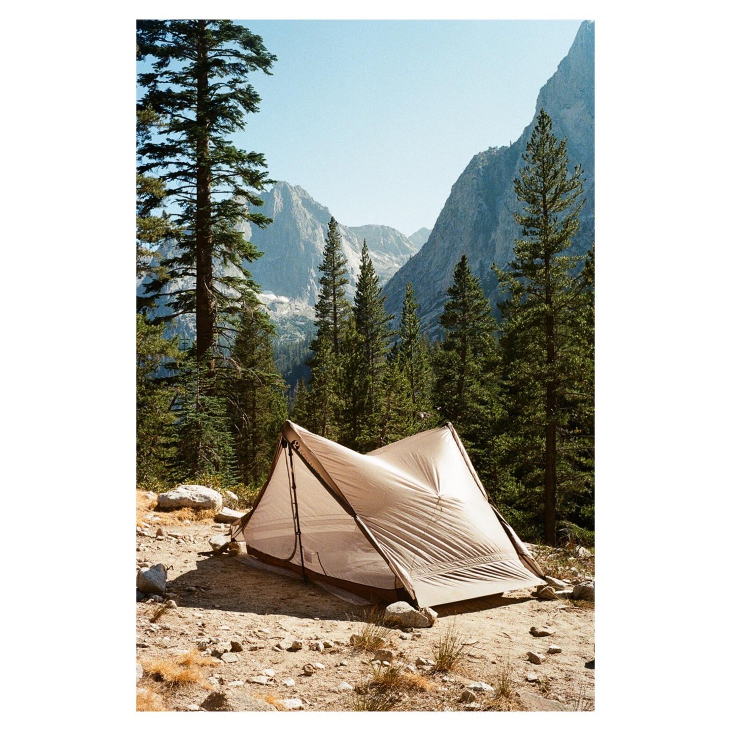 A tent is pitched on a rocky patch of ground surrounded by pine trees and mountains.