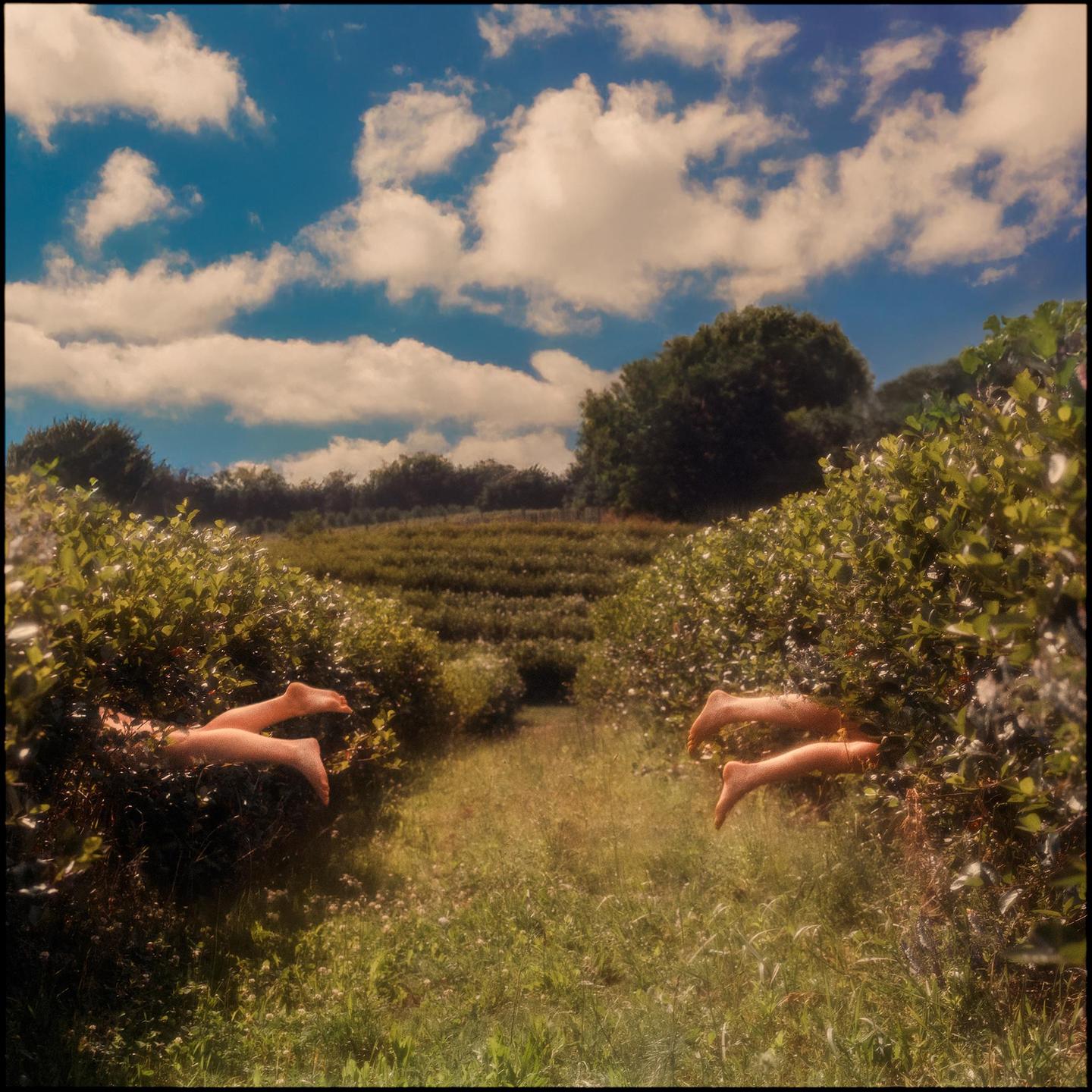 Two pairs of legs protrude from bushes in a field under a cloudy sky.