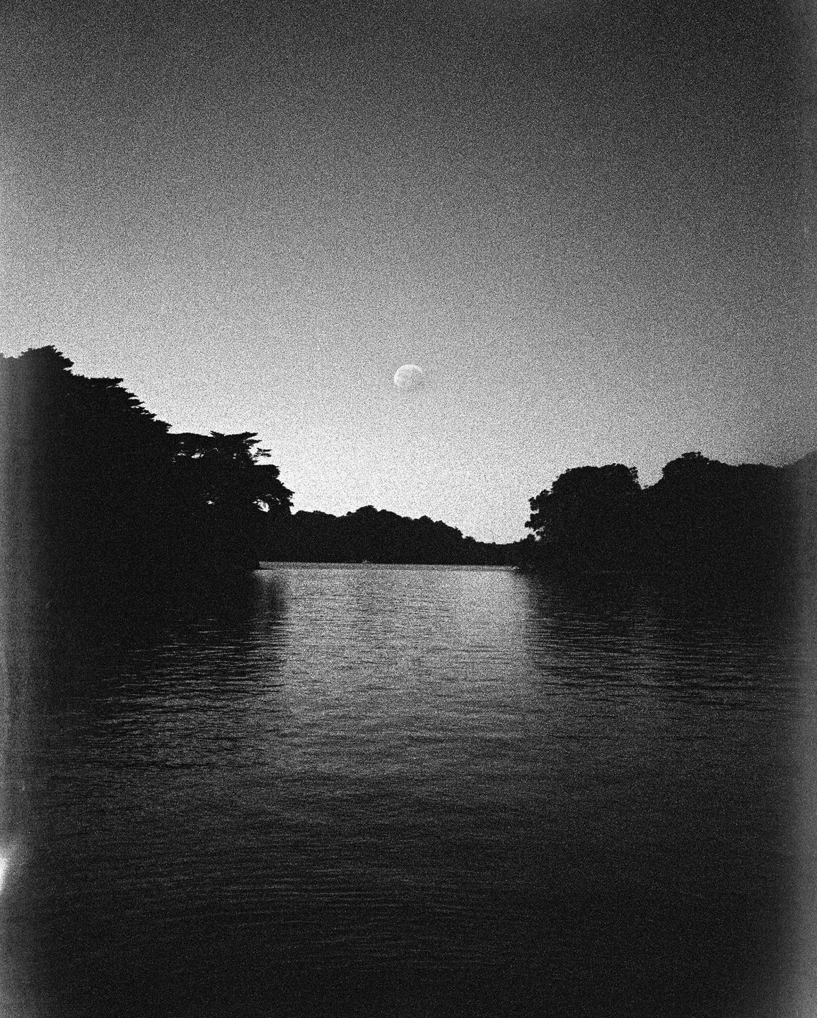 A moon is visible in the sky above a body of water surrounded by trees.