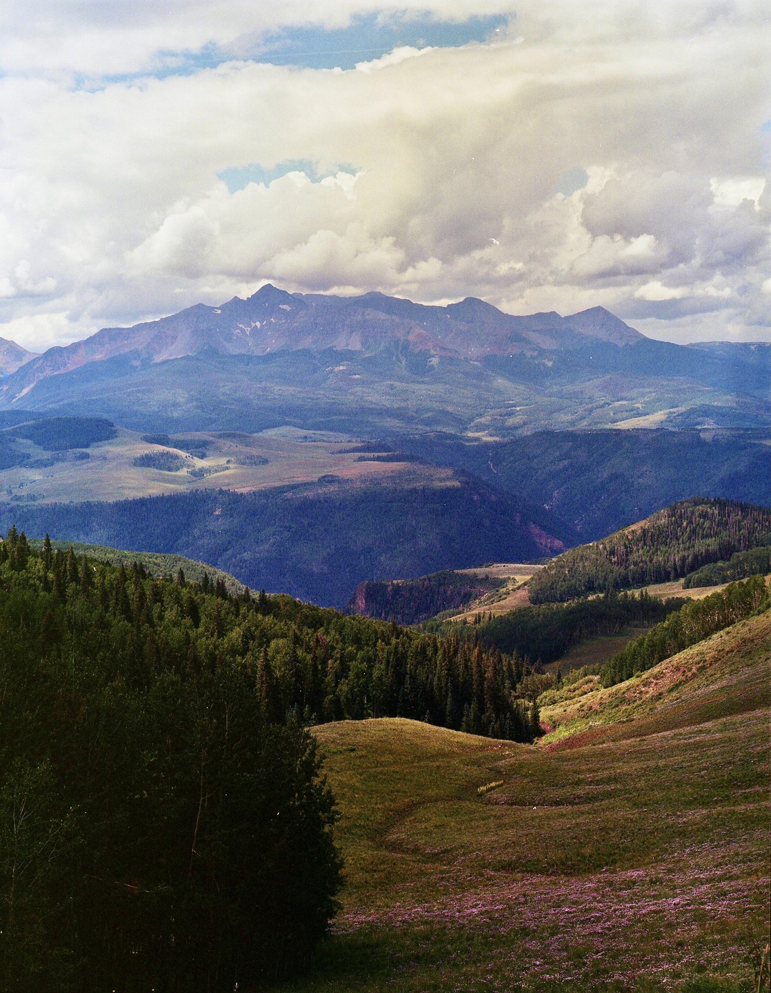 A vast mountain landscape features a valley with trees and a field of purple flowers under a cloudy sky.