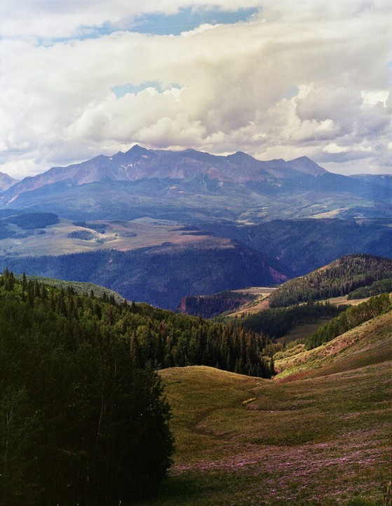 A vast mountain landscape features a valley with trees and a field of purple flowers under a cloudy sky.