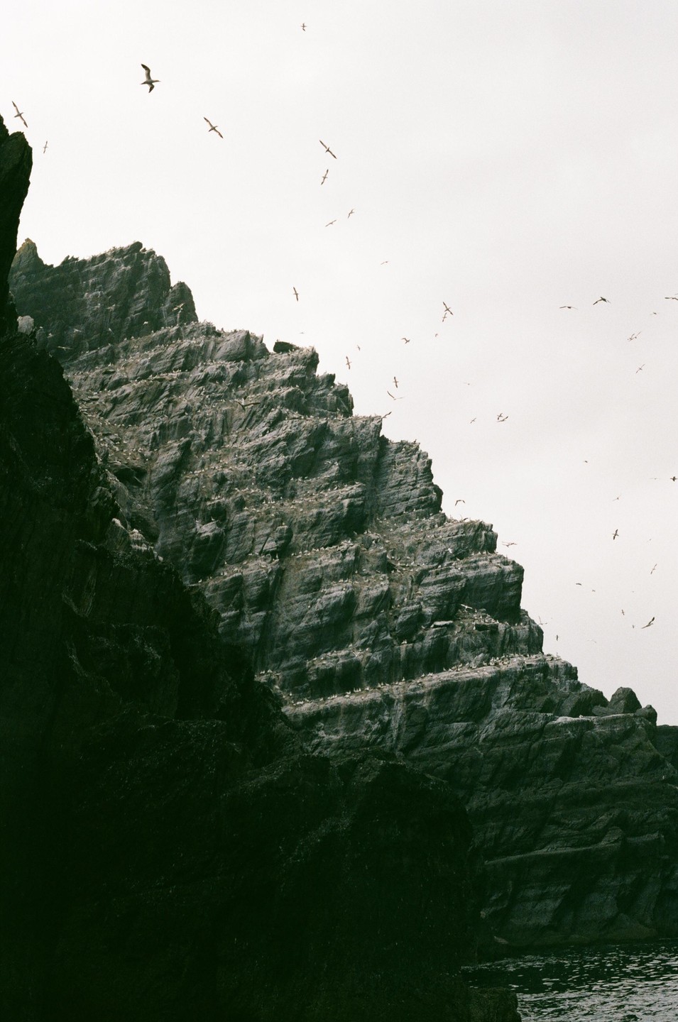 A flock of birds flies around a large, rocky cliff face that rises from the water.