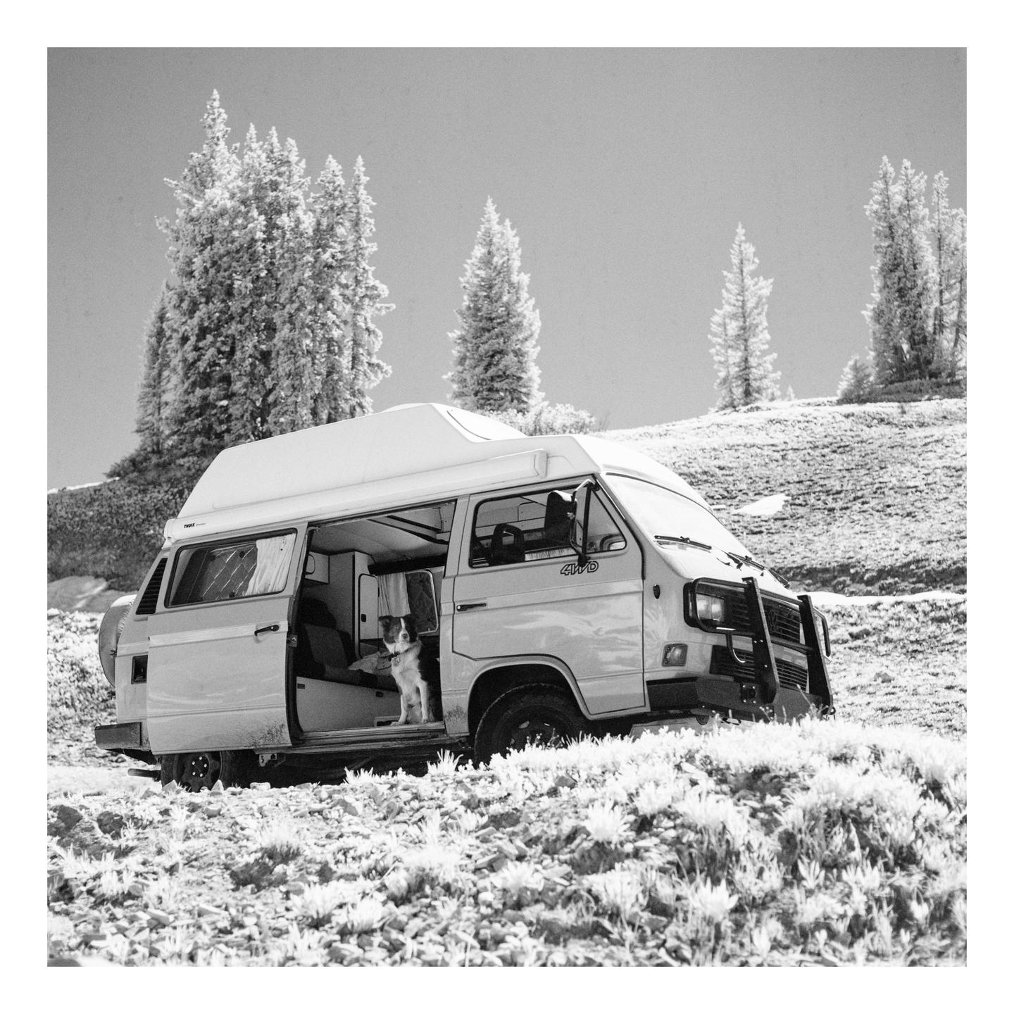 A dog sits in the open side door of a camper van parked on a snowy hill with pine trees in the background.