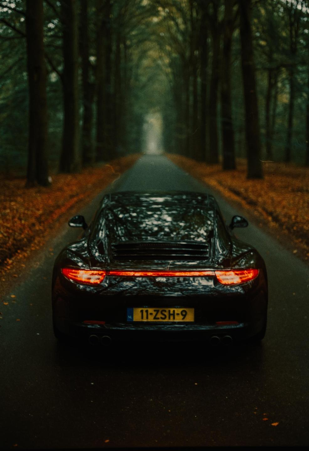 A black car with its brake lights on drives down a narrow road lined with tall trees and autumn foliage.