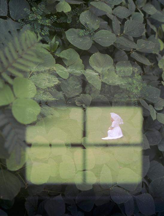 A double exposure shows a girl in a white dress holding an umbrella, superimposed over a leafy plant with a window frame shadow.