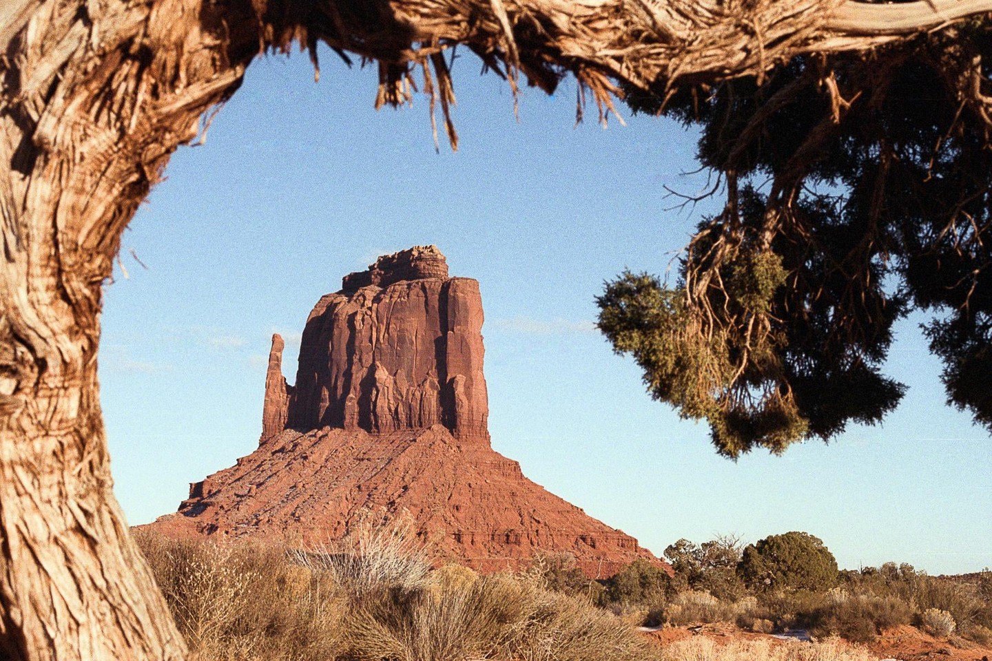 A large red rock formation is framed by tree branches in a desert landscape under a clear sky.