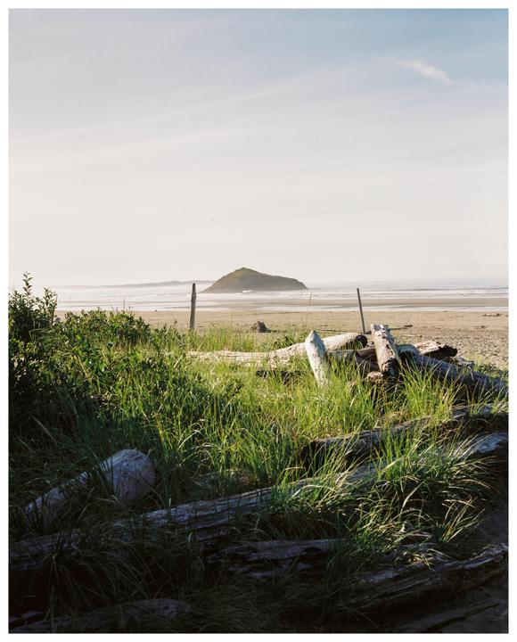 Driftwood and tall grass are in the foreground of a beach with an island in the distance.
