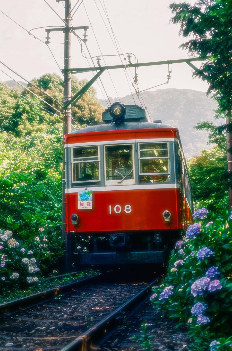 A red train with the number 108 on its front is on a track surrounded by lush green foliage and purple flowers.