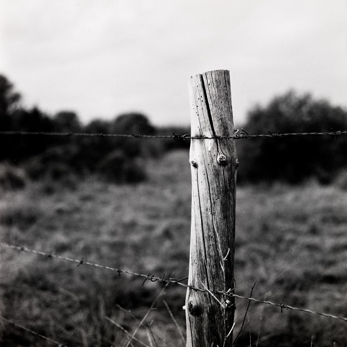 A wooden fence post with barbed wire is in the foreground of a field.