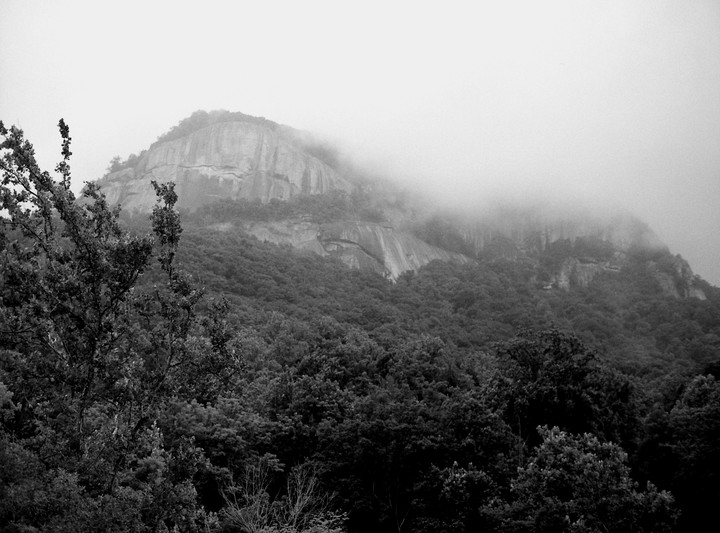 A mountain covered in trees and low clouds is visible in a black and white landscape.