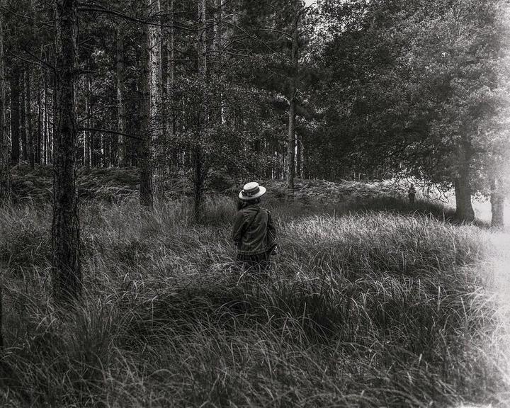 A person wearing a hat stands in a field of tall grass, looking towards a forest.