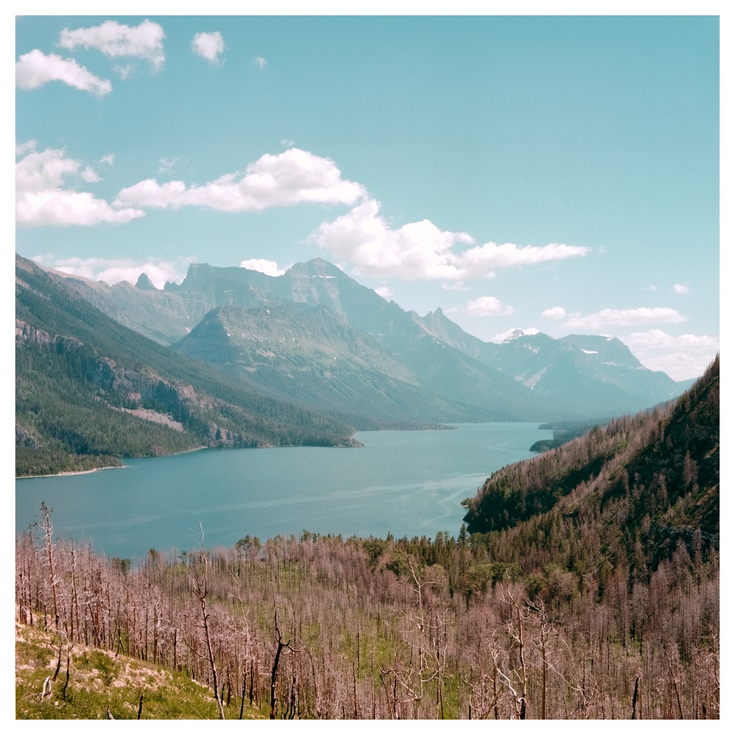 A wide shot shows a lake surrounded by mountains and a forest of dead trees in the foreground.
