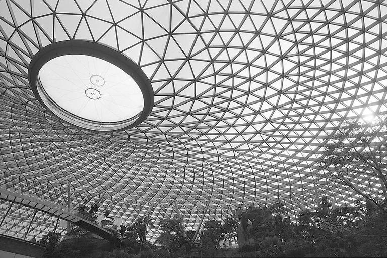 A large geodesic dome ceiling with a circular skylight covers a lush indoor garden with trees and a walkway.