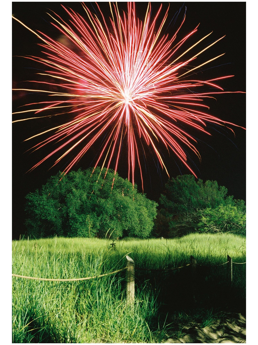 A red and yellow firework explodes above a field with trees at night.