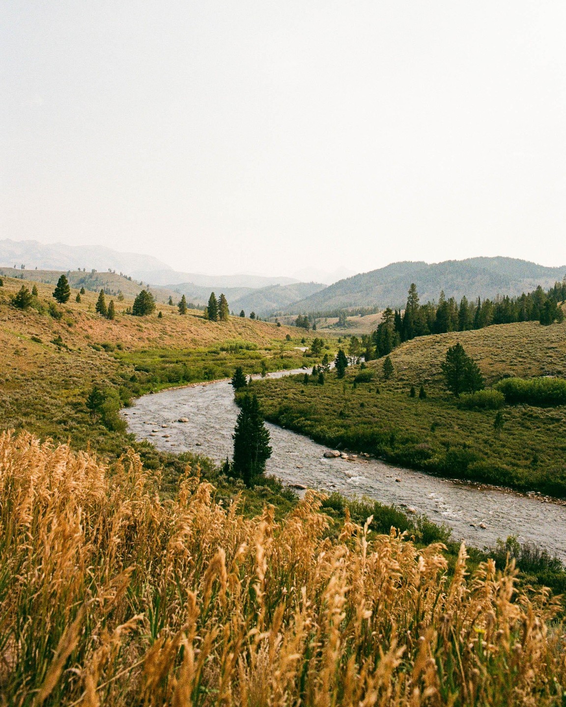 A river winds through a valley with hills and trees under a hazy sky.