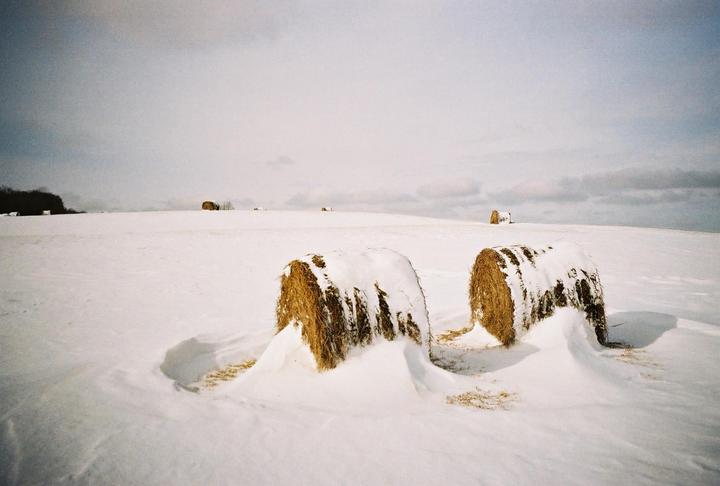 Two hay bales covered in snow are in a vast, snow-covered field under a cloudy sky.