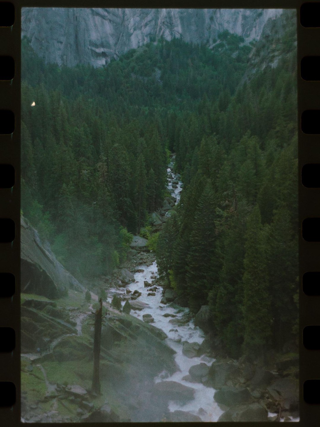 A river flows through a forest with a mountain in the background.