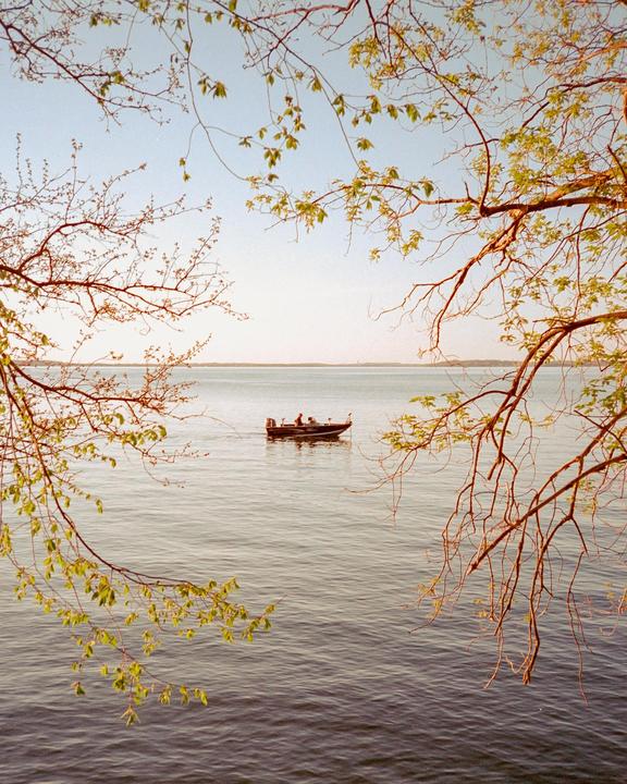 A small boat with two people is visible on a body of water, framed by tree branches with green leaves.