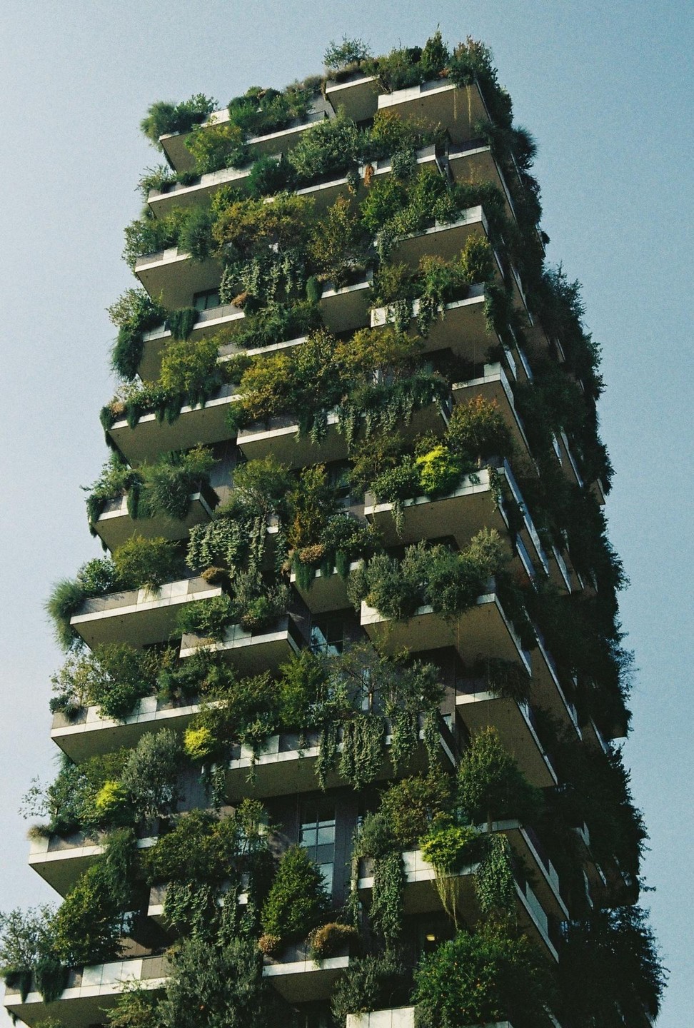 A tall building with many balconies is covered in lush green trees and plants under a clear sky.