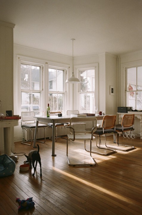 A small black dog stands near a dog bed and food bowls on a wooden floor in a sunlit room with a dining table and chairs.