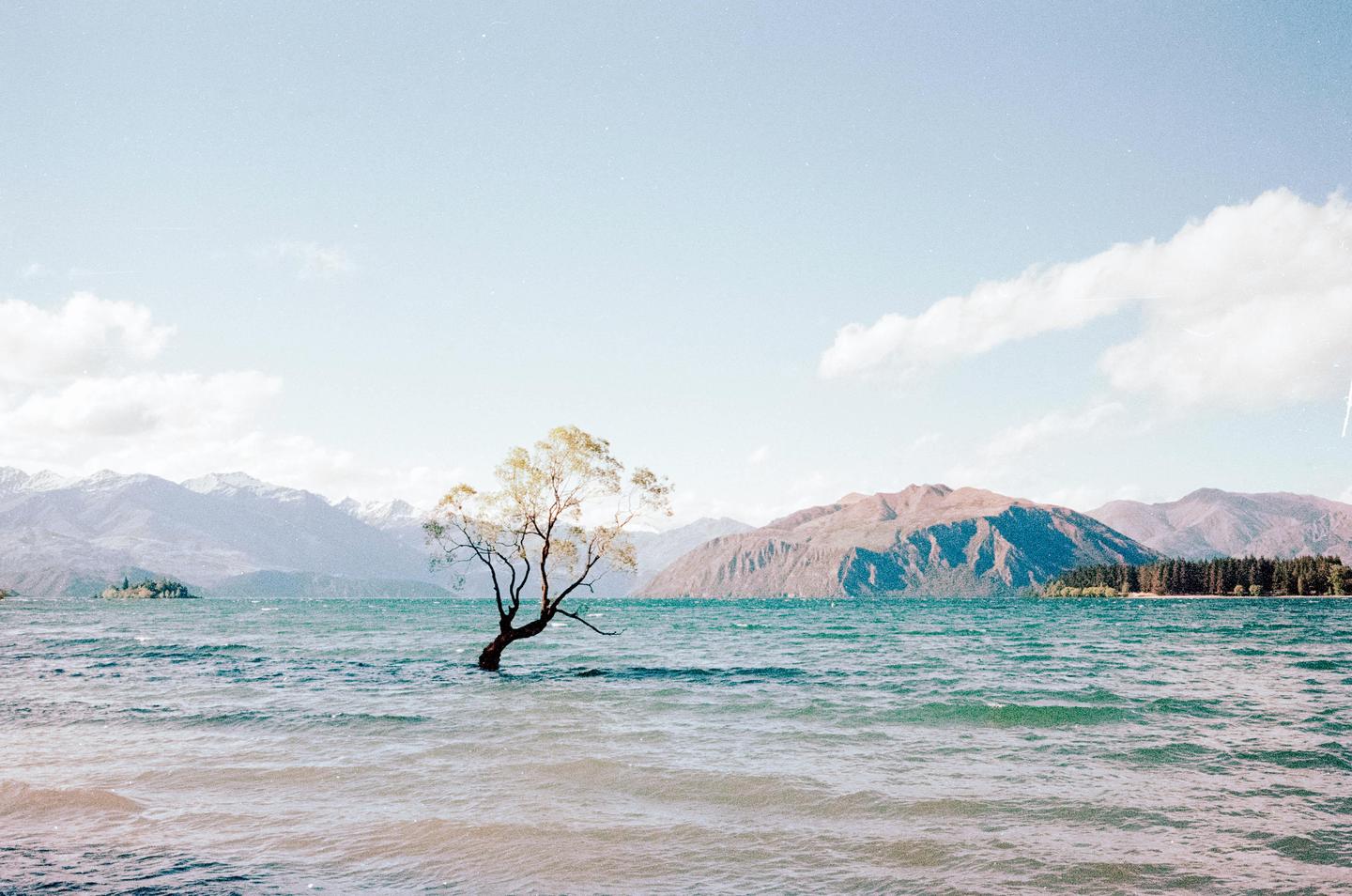 A lone tree stands in a lake with mountains in the background under a partly cloudy sky.