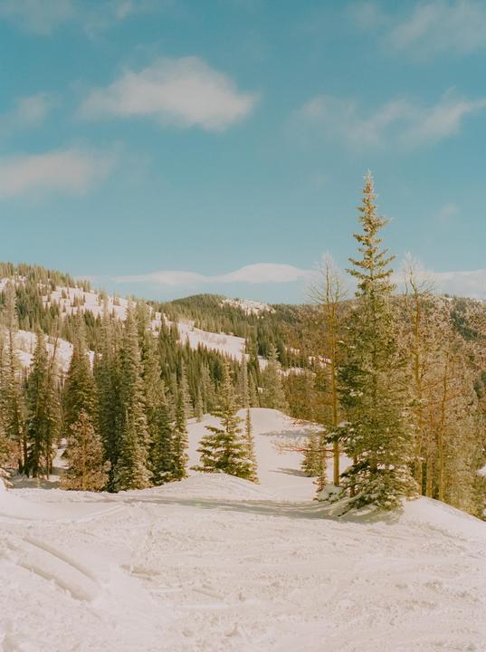 A snow-covered mountain slope is visible with numerous evergreen trees and a bright blue sky with white clouds.