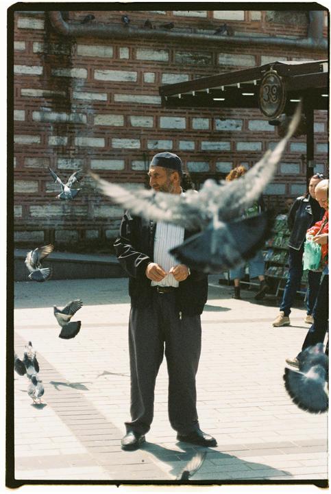 A man stands among pigeons on a paved street in front of a brick building.