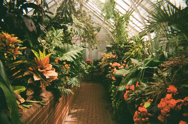 A brick path leads through a greenhouse filled with lush green and orange plants under a glass roof.