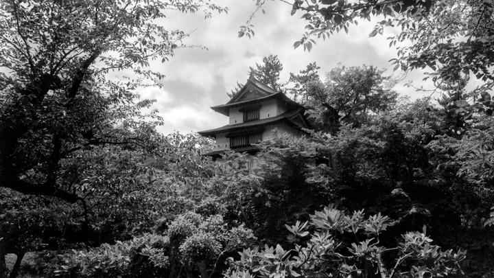 A traditional Japanese building with multiple tiered roofs is nestled among dense foliage under a cloudy sky.