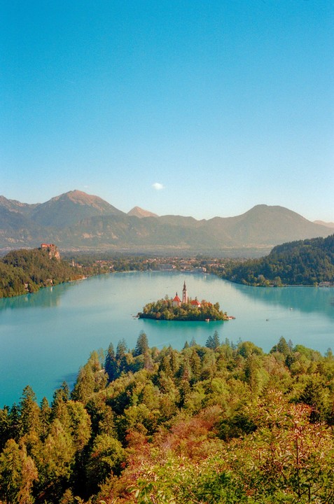 A small island with a church sits in the middle of a turquoise lake, surrounded by mountains and forests under a clear blue sky.