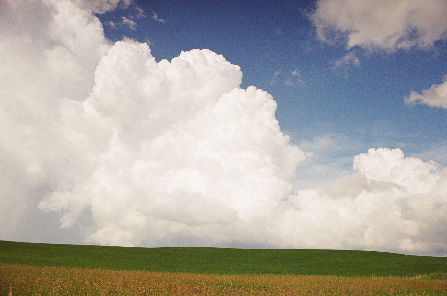 A large white cloud dominates the blue sky above a green and brown field.