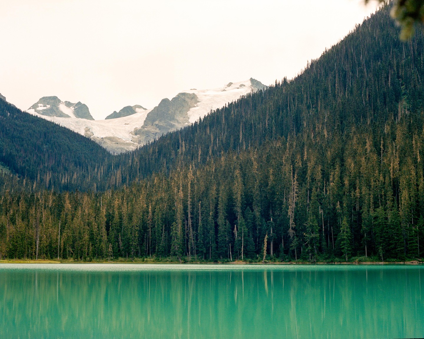 A turquoise lake reflects a dense forest and snow-capped mountains under a hazy sky.