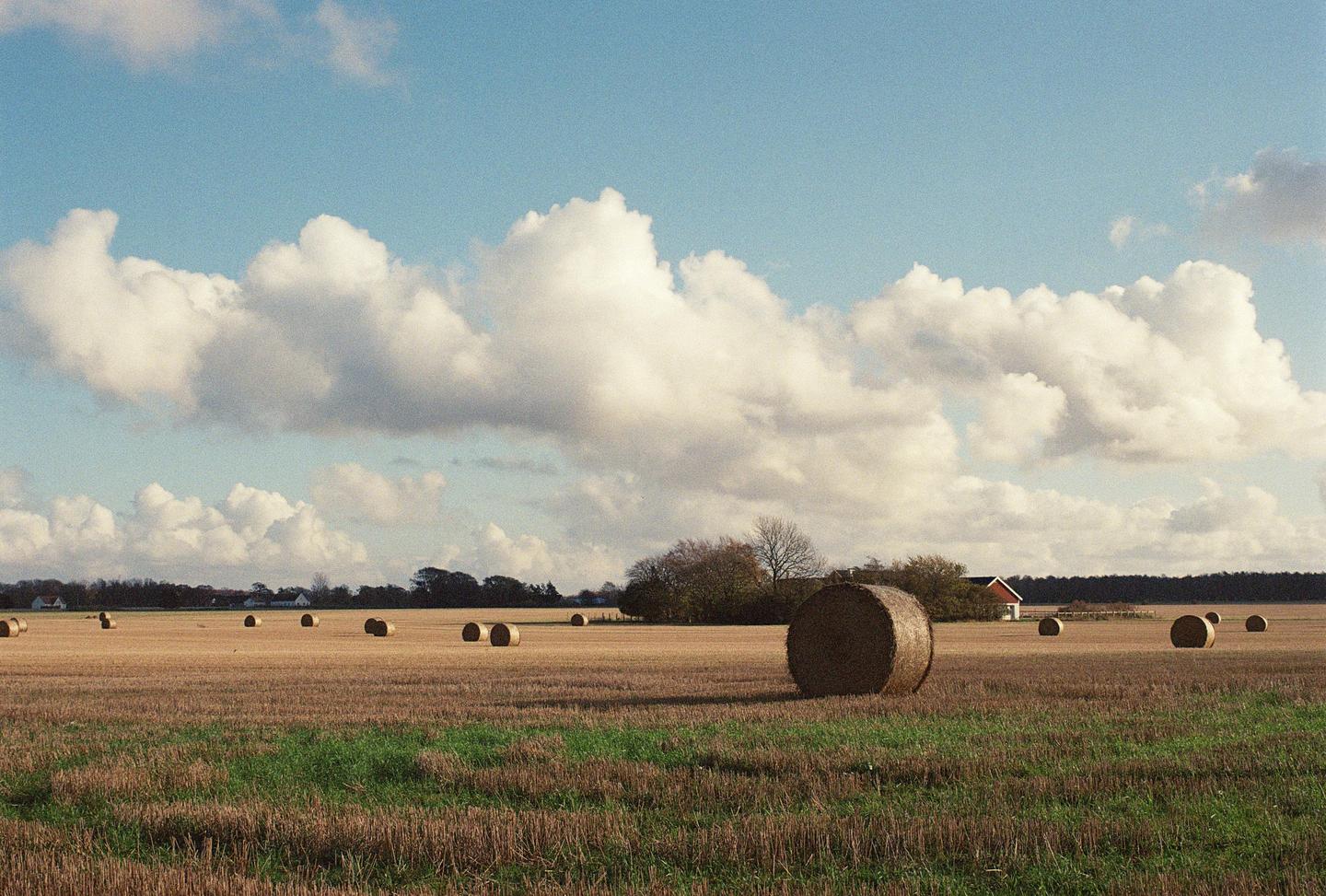 A field of hay bales sits under a cloudy sky with a small house and trees in the distance.