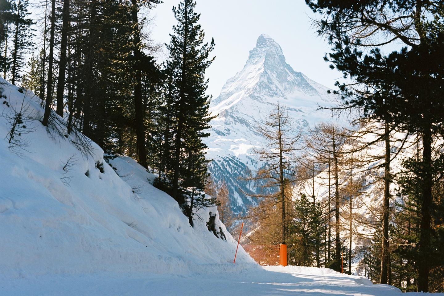A snow-covered mountain peak rises above a forest of pine trees and a snowy slope.