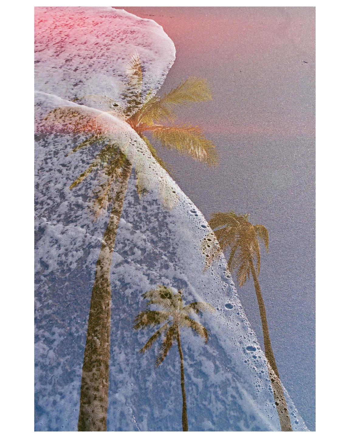 Palm trees are visible through foamy ocean water on a beach.