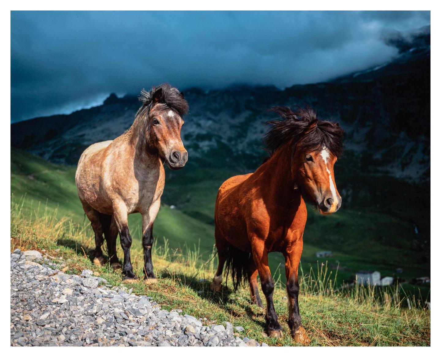 Two horses stand on a grassy hillside with mountains and a cloudy sky in the background.