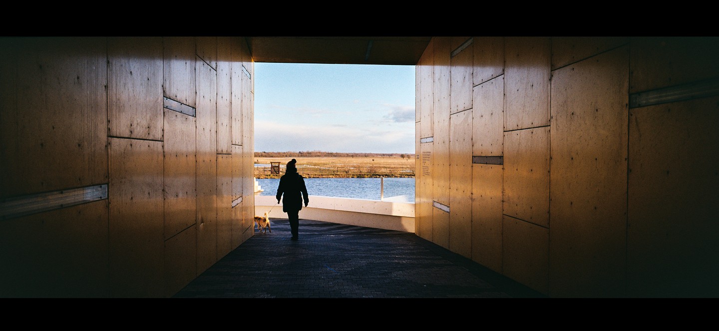 A person and a dog walk out of a wooden structure towards a body of water and a field.