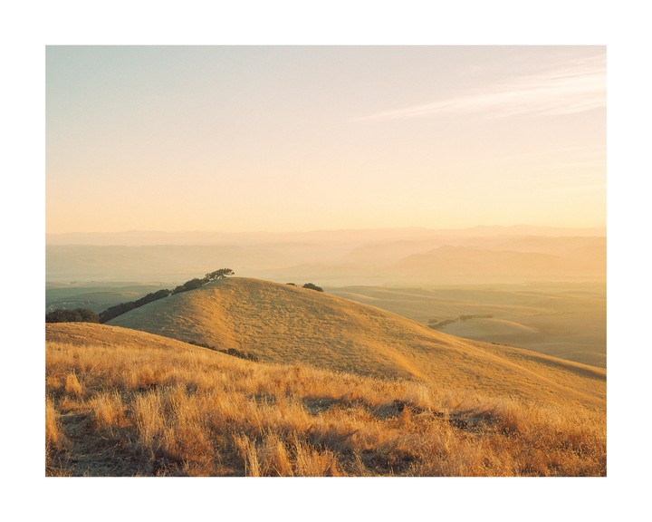 Golden hills covered in dry grass stretch into the distance under a hazy sky.