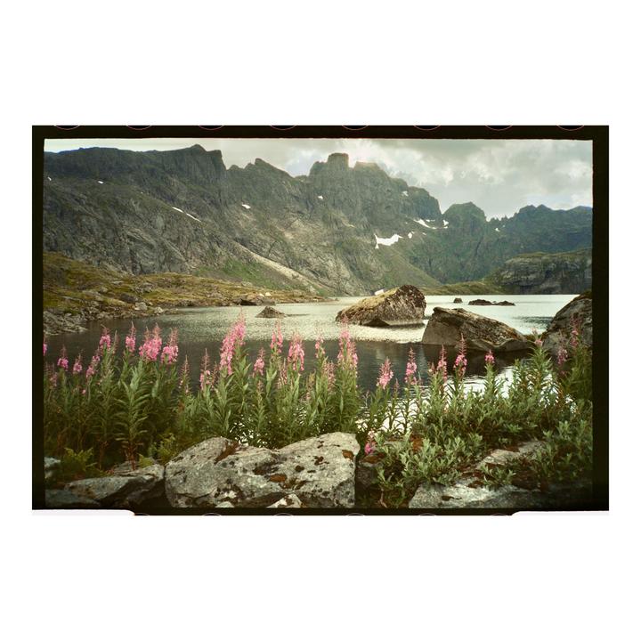 Pink flowers grow in the foreground of a lake surrounded by mountains under a cloudy sky.