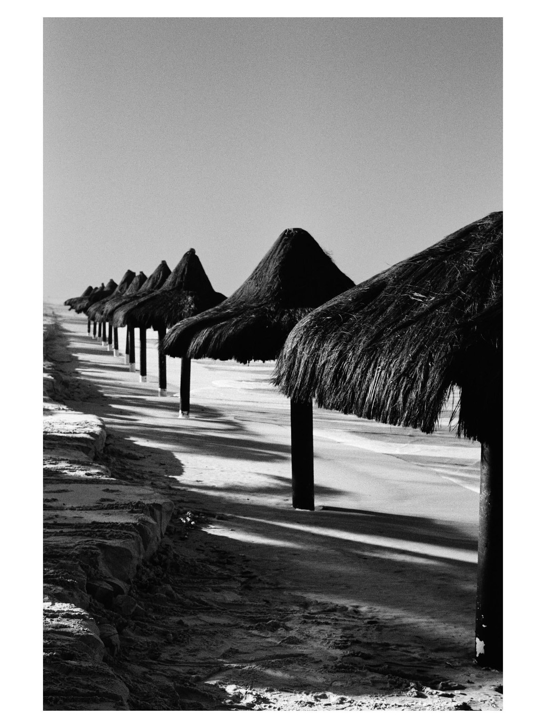 A row of thatched umbrellas casts long shadows on a sandy beach.