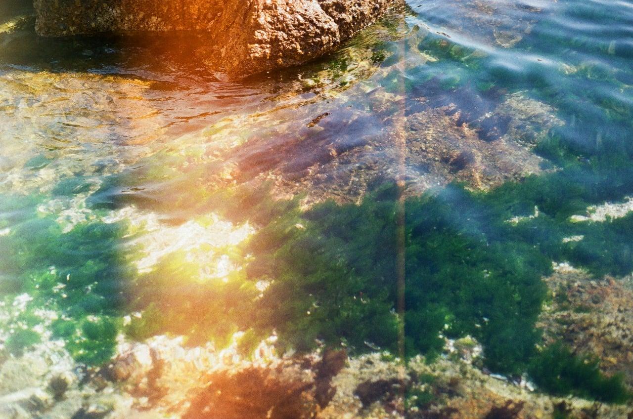 Sunlight illuminates the clear water of a shallow sea, revealing rocks and green algae on the seabed.